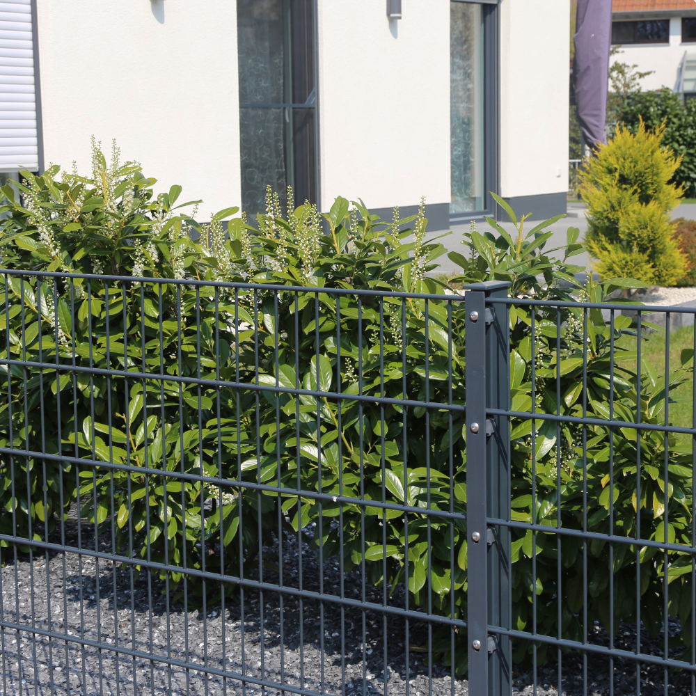 Zäune & Einfriedungen für Gewerbe und Privat